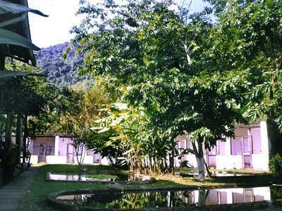 Tarituba 2*
